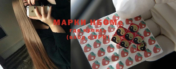 твердый Алзамай