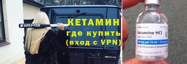 гашик Алексин