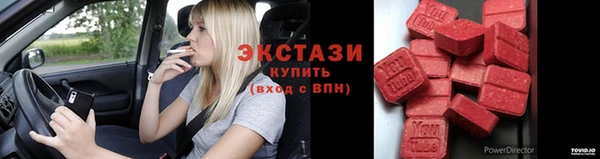 гашик Алексин