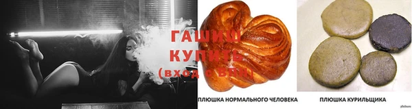 твердый Алзамай