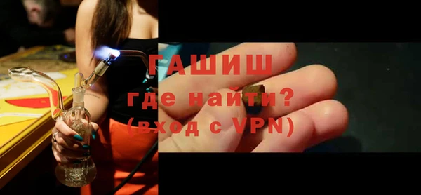 гашик Алексин