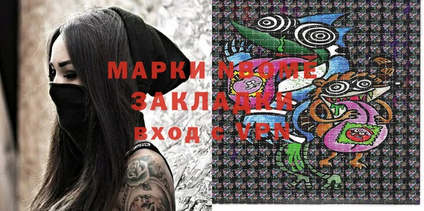 гашик Алексин