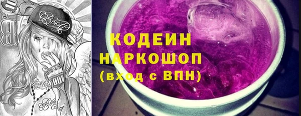 гашик Алексин