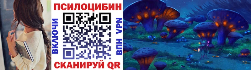 Галлюциногенные грибы Psilocybine cubensis Кочубеевское