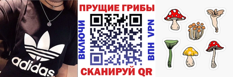 даркнет сайт  Кочубеевское  Псилоцибиновые грибы Cubensis 
